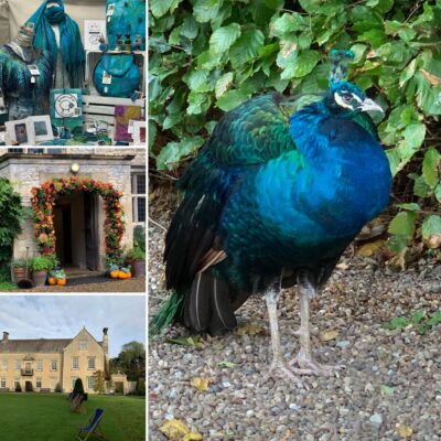 NT Nunnington Hall Autumn Fair